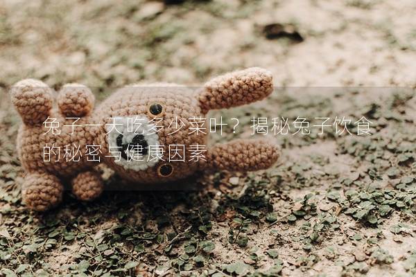 兔子一天吃多少菜葉？揭秘兔子飲食的秘密與健康因素